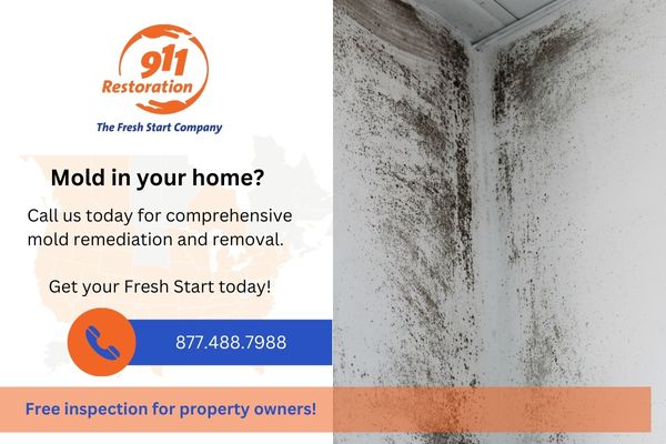 Water damage restoration Southern Houston